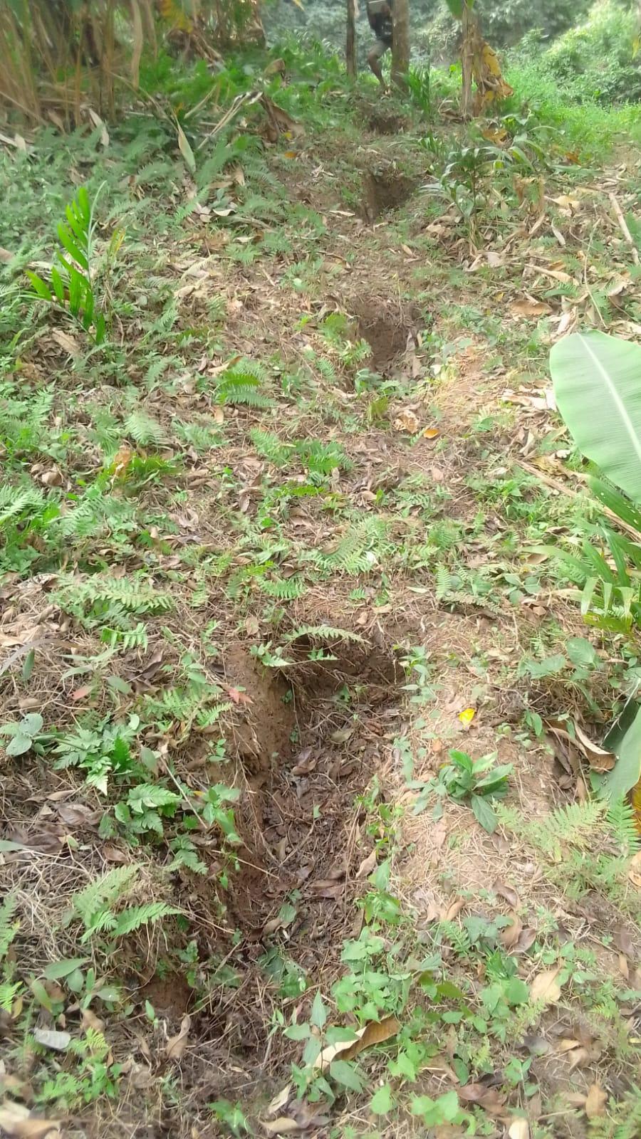 G:\VILLAGE REPORT PICTURES\mawker latest\WhatsApp Image 2023-02-06 at 12.51.45.jpeg